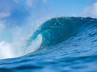 wave forming about to crash